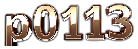 p0113 logo